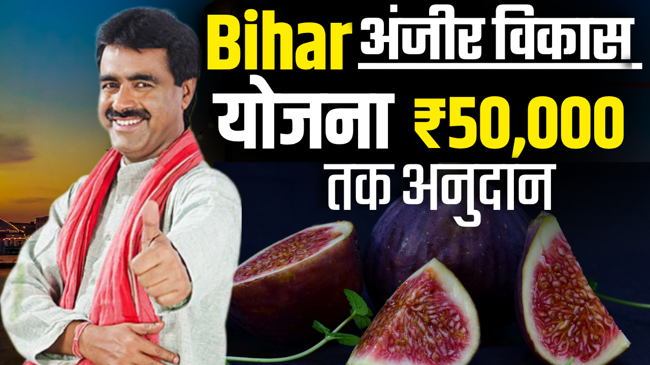 Bihar Anjeer Vikas Yojana 2025